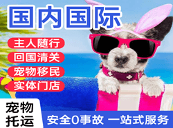 南昌航空货运国际宠物托运 【国
